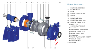 Exploded view of SH horizontal slurry pump showing internal structure and wear parts